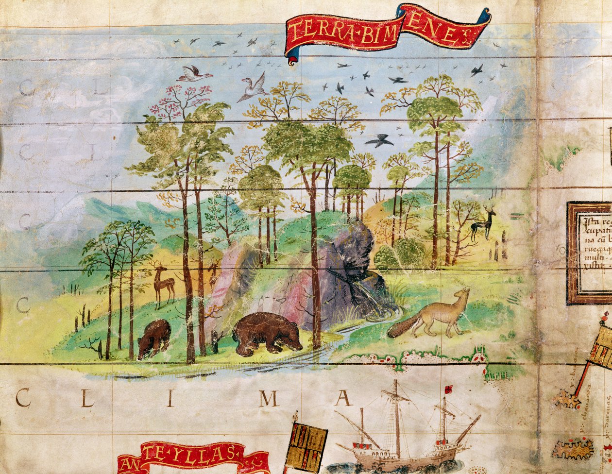 Den canadiske skov, detalje fra et kort over Atlanterhavet, 1519 af French School