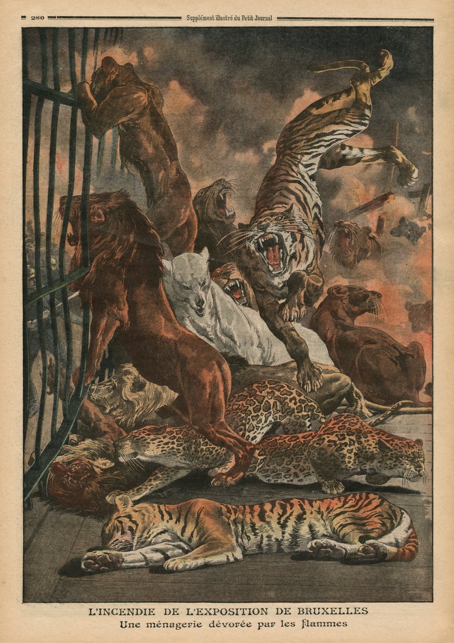 Branden på universaludstillingen i Bruxelles, et menageri, der fortæres af flammerne, illustration fra 
