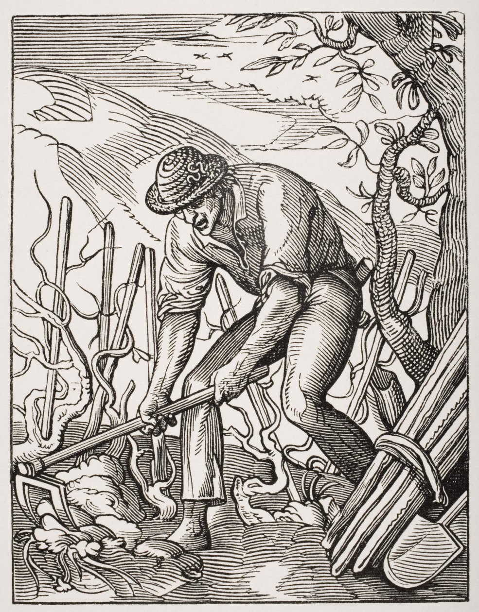 Vinavleren, efter en gravering af Jost Amman (1539-91) fra 