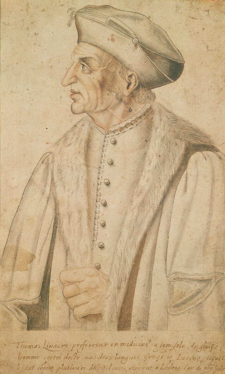 Thomas Linacre (sangvinsk på papir) af French School