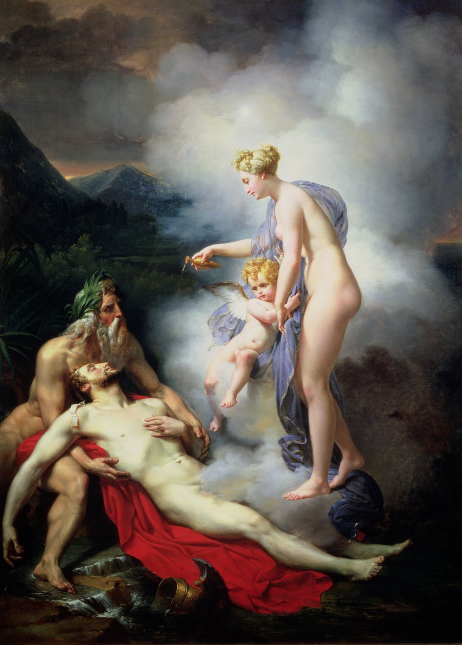 Venus helbreder Adonis af French School