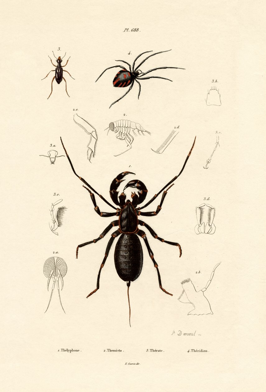 Pisk Skorpion, 1833-39 af French School