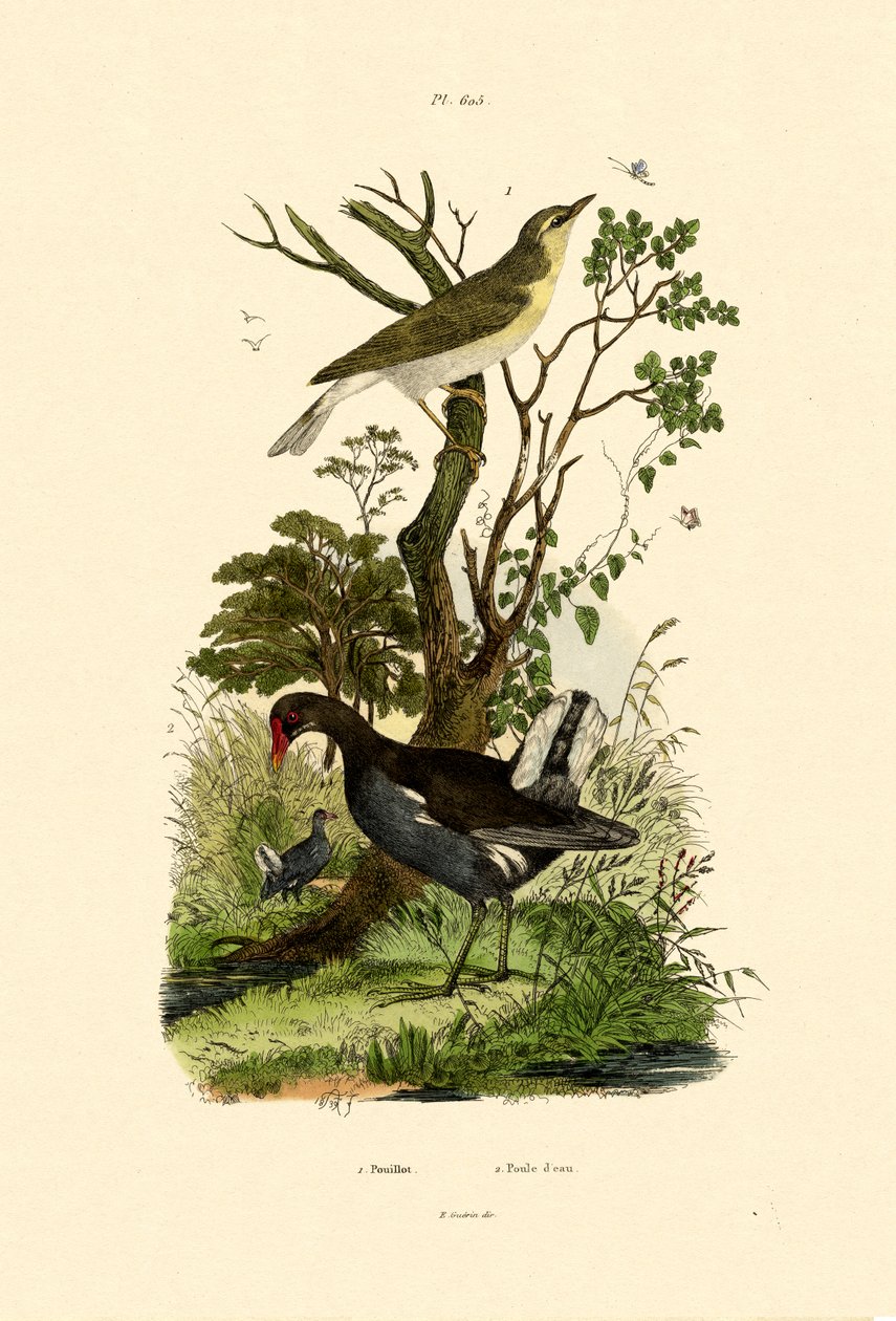 Skovsanger, 1833-39 af French School