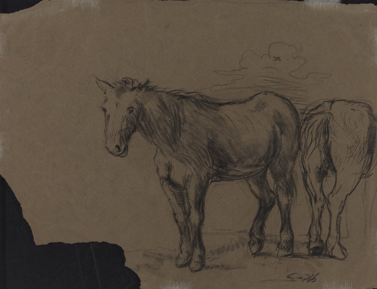 Heste af French 19th Century