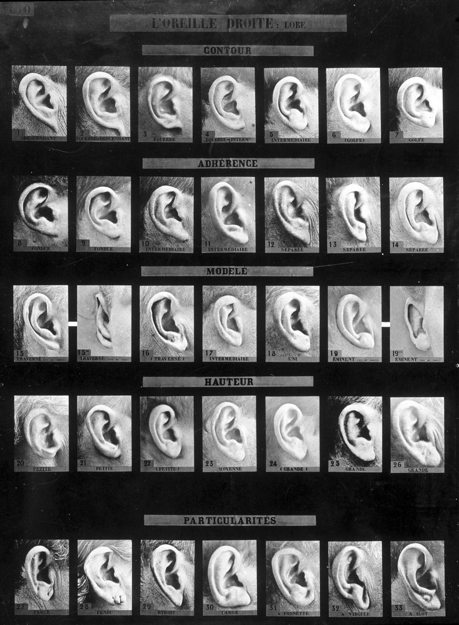 Antropometrisk klassificering og identifikation af Bertillon-systemet: sammenligning af forskellige typer lige ører (lap). sd. Slutningen af det 19. århundrede. af French Photographer