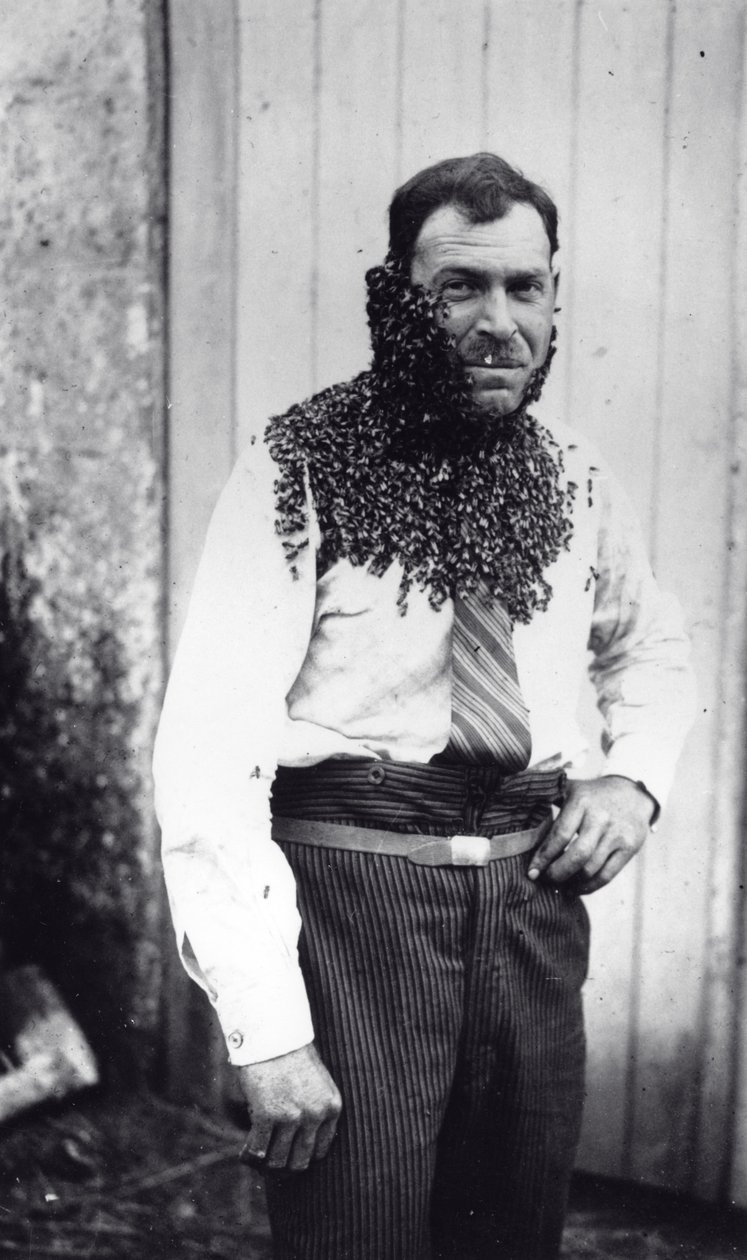 Biavler Angel Peuchaud dækket af bier i Angouleme, Charentes, Frankrig af French Photographer