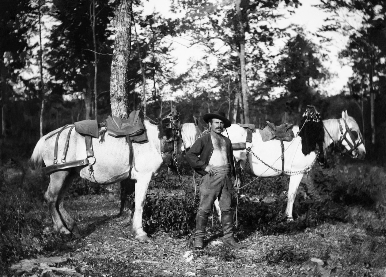Bucheron med sine heste, i nærheden af Bourmont i Haute-Marne (Haute Marne). Ducos samling. af French Photographer