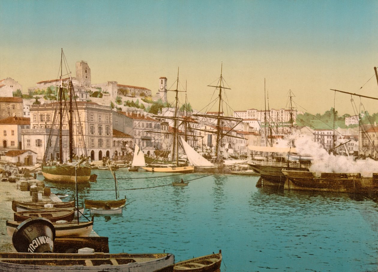Generel udsigt over Cannes Havn, 1890-1900 af French Photographer