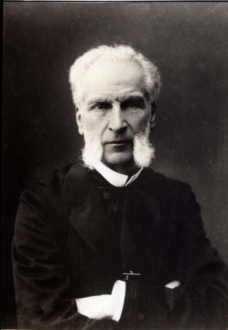 Portræt af Aime Joseph Edmond Rousse (1817-1906), fransk advokat. af French Photographer