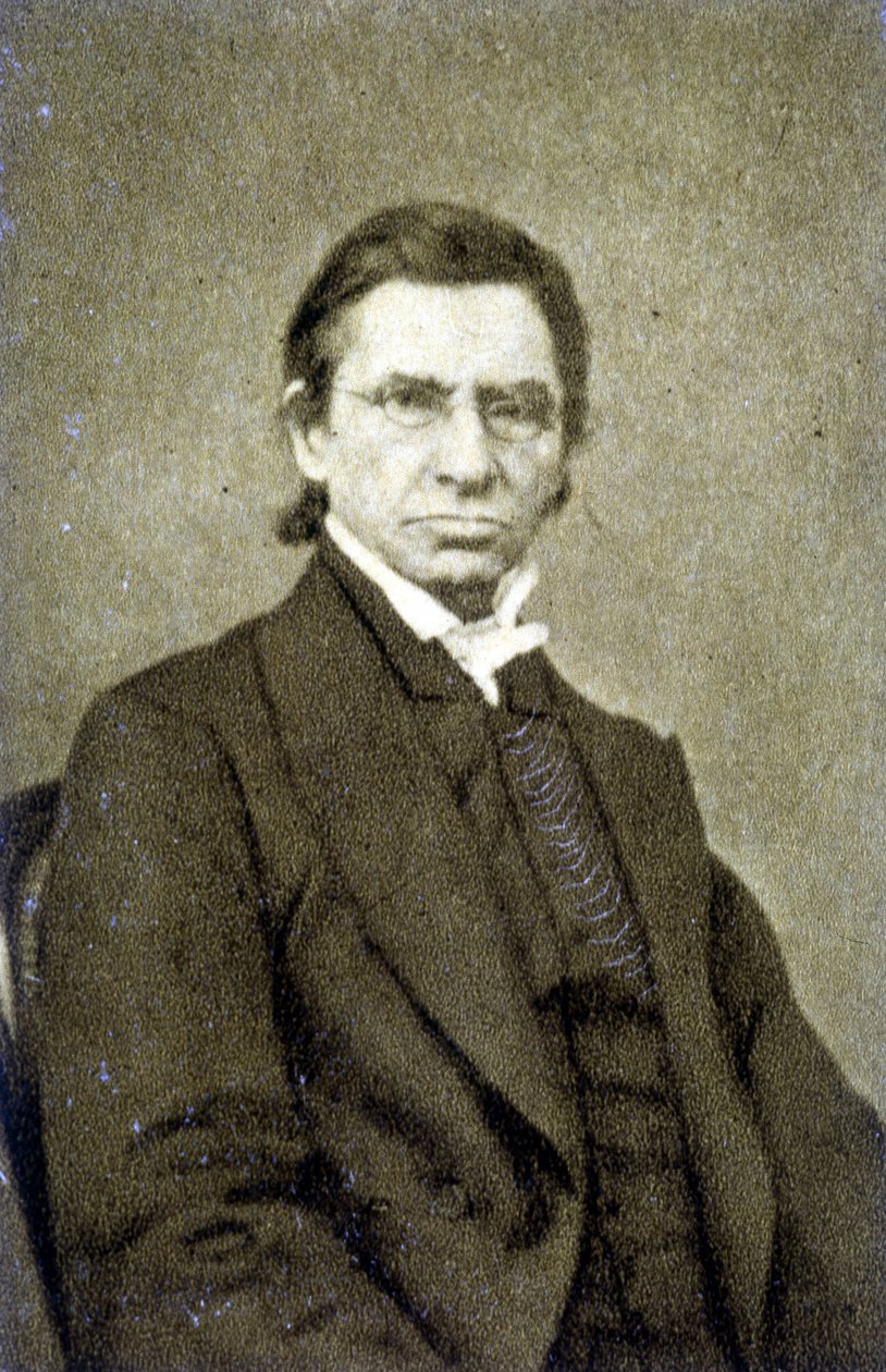 Portræt af Maximilian Emile Littré (1801 - 1881) i 1869 af French Photographer