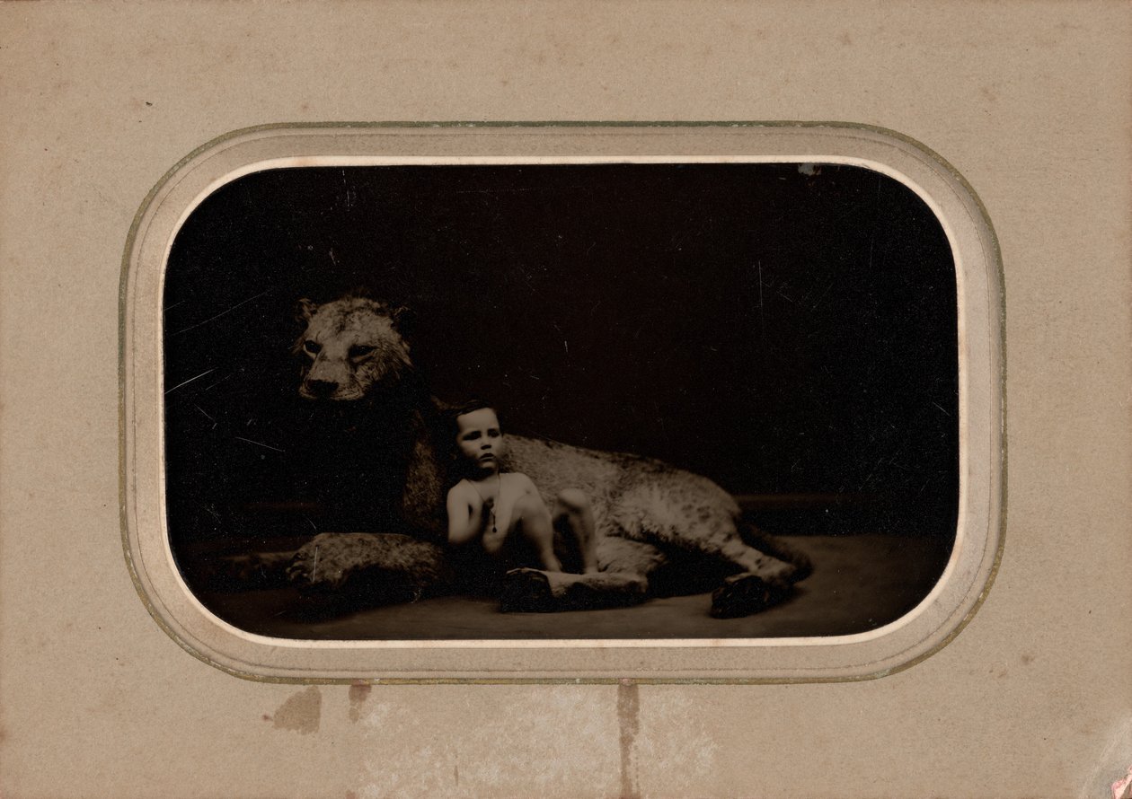 Portræt af et barn, ca. 1860 (foto) af French Photographer