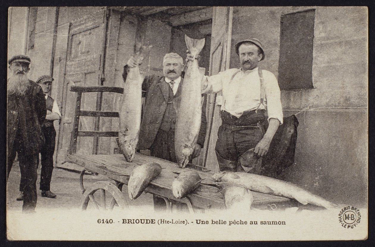 Postkort med en god fangst af laks i Brioude, Haute-Loire, ca. 1900 af French Photographer