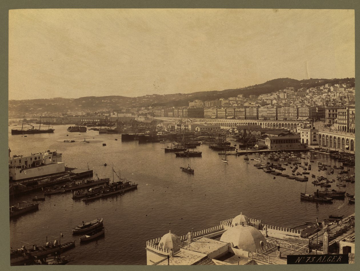 Udsigt over Algier, ca. 1860-1900 af French Photographer