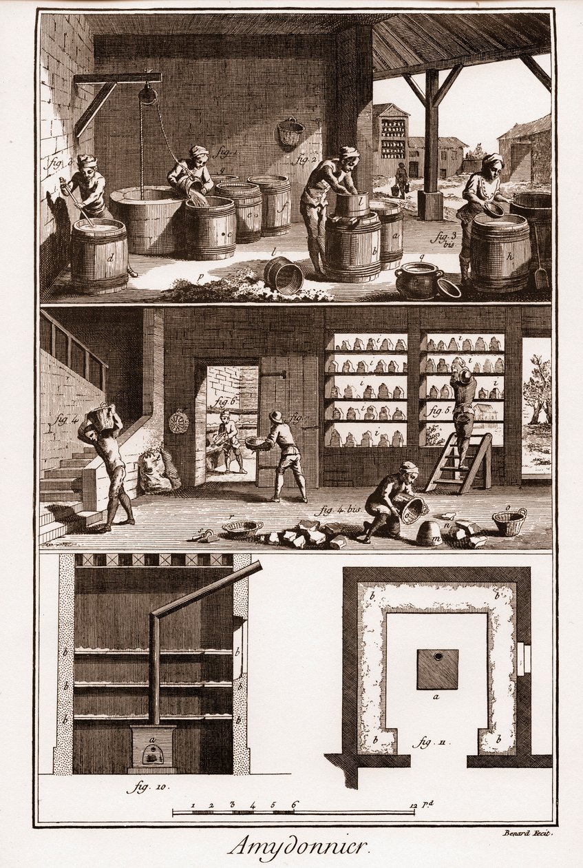 AMDONIER - Amydonnier - "" The Great Encyclopedia, eller Dictionnaire Raisonne des Sciences, des Arts et des Metiers" (Encyclopedia or Dictionary of the Sciences, Arts and Professions) af Denis Diderot (1713-1784) og Jean d