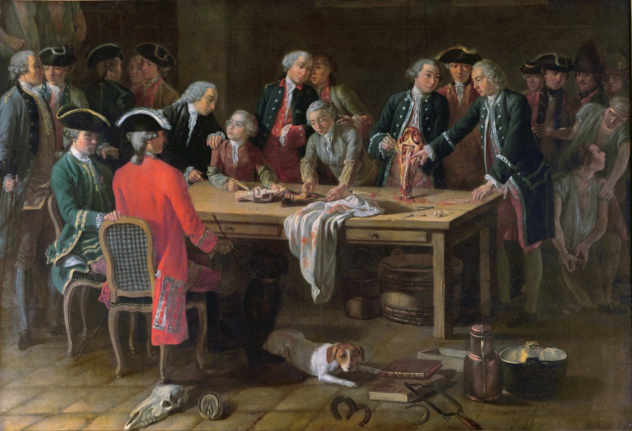 En lektion i hippatrisk anatomi med Philippe-Etienne Lafosse (1738-1820) af French School