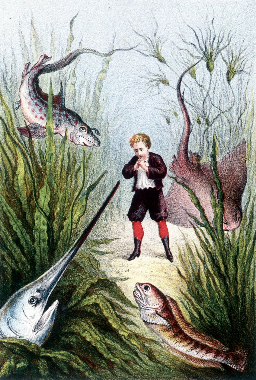 En dreng omgivet af kæmpefisk - i "Rejsen til havets bund" af H. de la Blanchère. Paris, red. Jouvet et Cie, sd. 1880. (dobbelt 02941) af French School