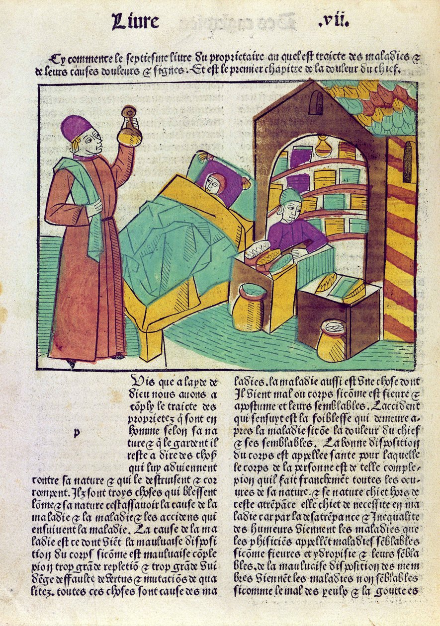 En patient med en læge og en farmaceut, fra Le Livre des Proprietes des Choses af Barthelemy lAnglais, 1485 (farvetræssnit) af French School