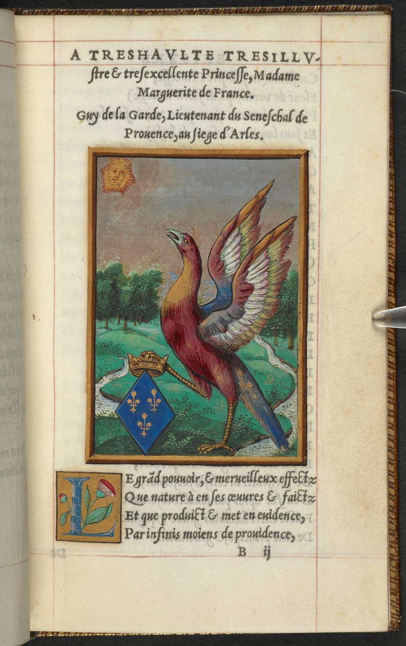 En føniks, fra The History and Description of the Phoenix, etc. Guy of the Guard af French School