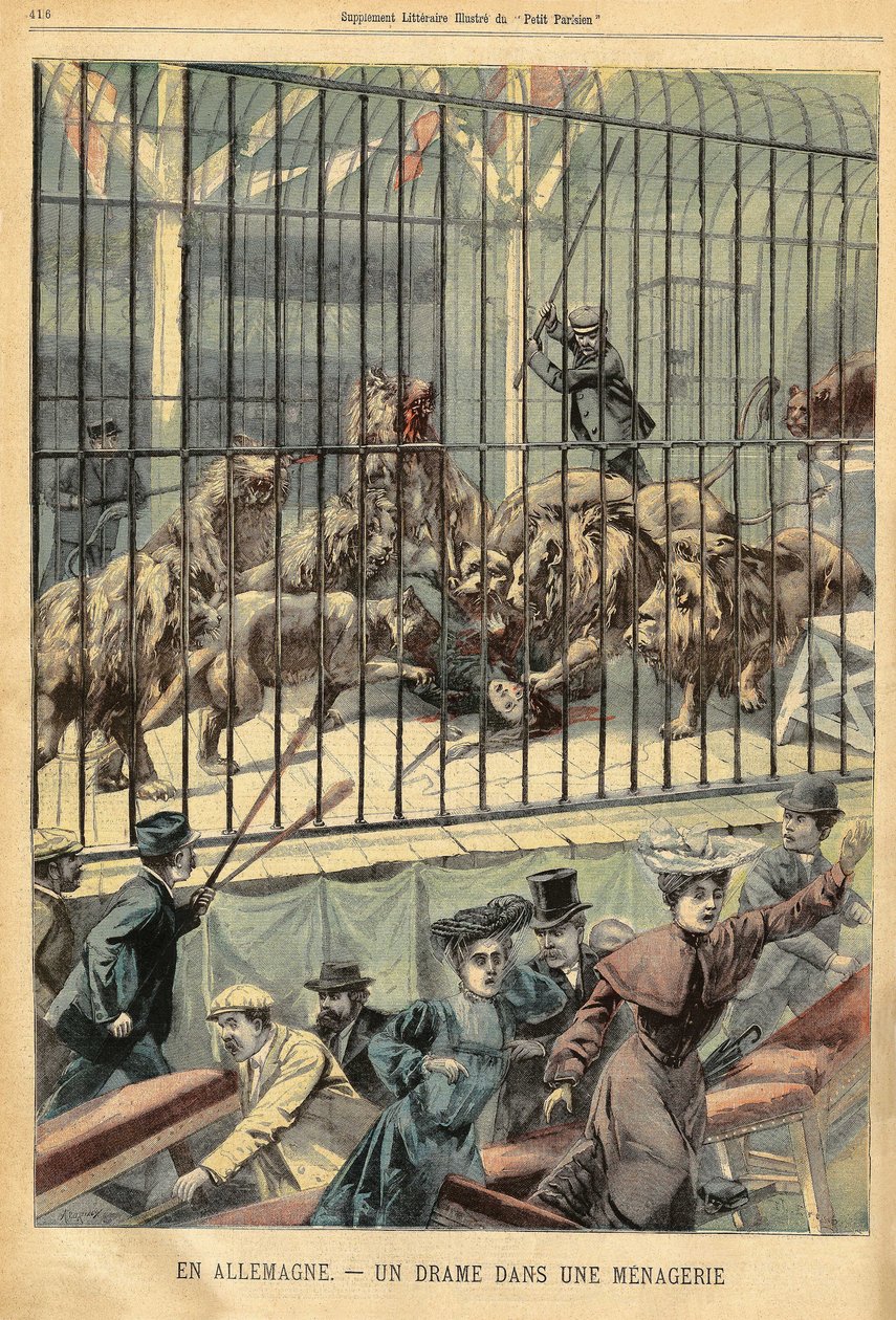 En tæmmer bliver fortæret af sine løver i et menageri i Dessau, Tyskland. Indgravering i "" Le Petite Parisien"", den 27/12/1903. af French School