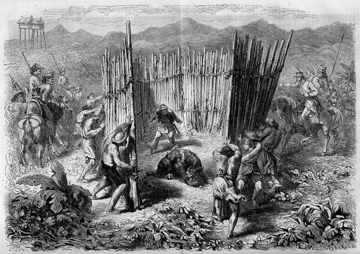 En tigerjagt på Java-øen i 1862. Indgravering i "" Le Monde Illustré"" nr. 251 af 1. februar 1862. af French School