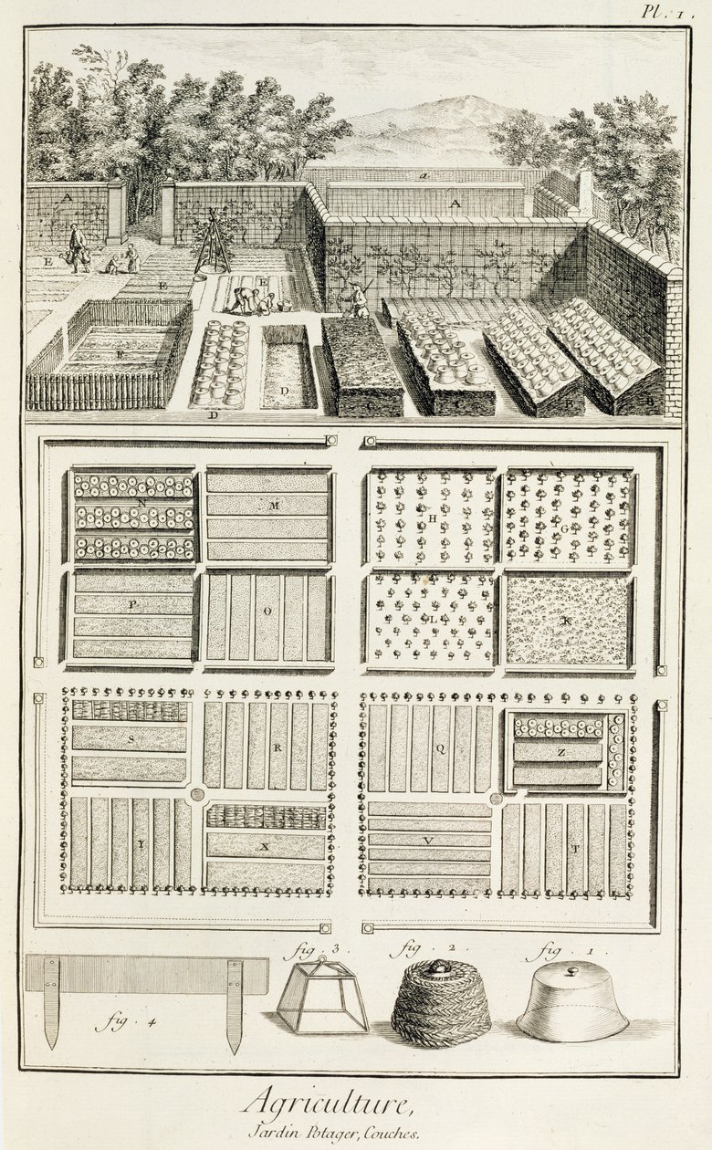 En køkkenhave fra The Encyclopedia of Science, Art and Engineering af Denis Diderot (1713-84), ca. 1770 af French School