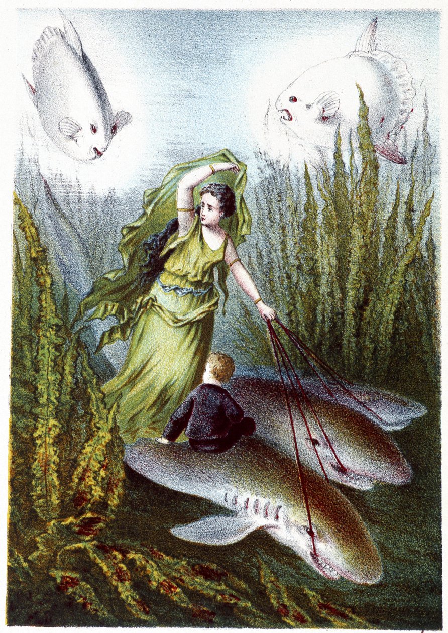En kvinde og en dreng flygter fra kæmpefisk på hajer - i "Rejsen til havets bund" af H. de la Blanchère. Paris, red. Jouvet et Cie, sd. 1880. af French School