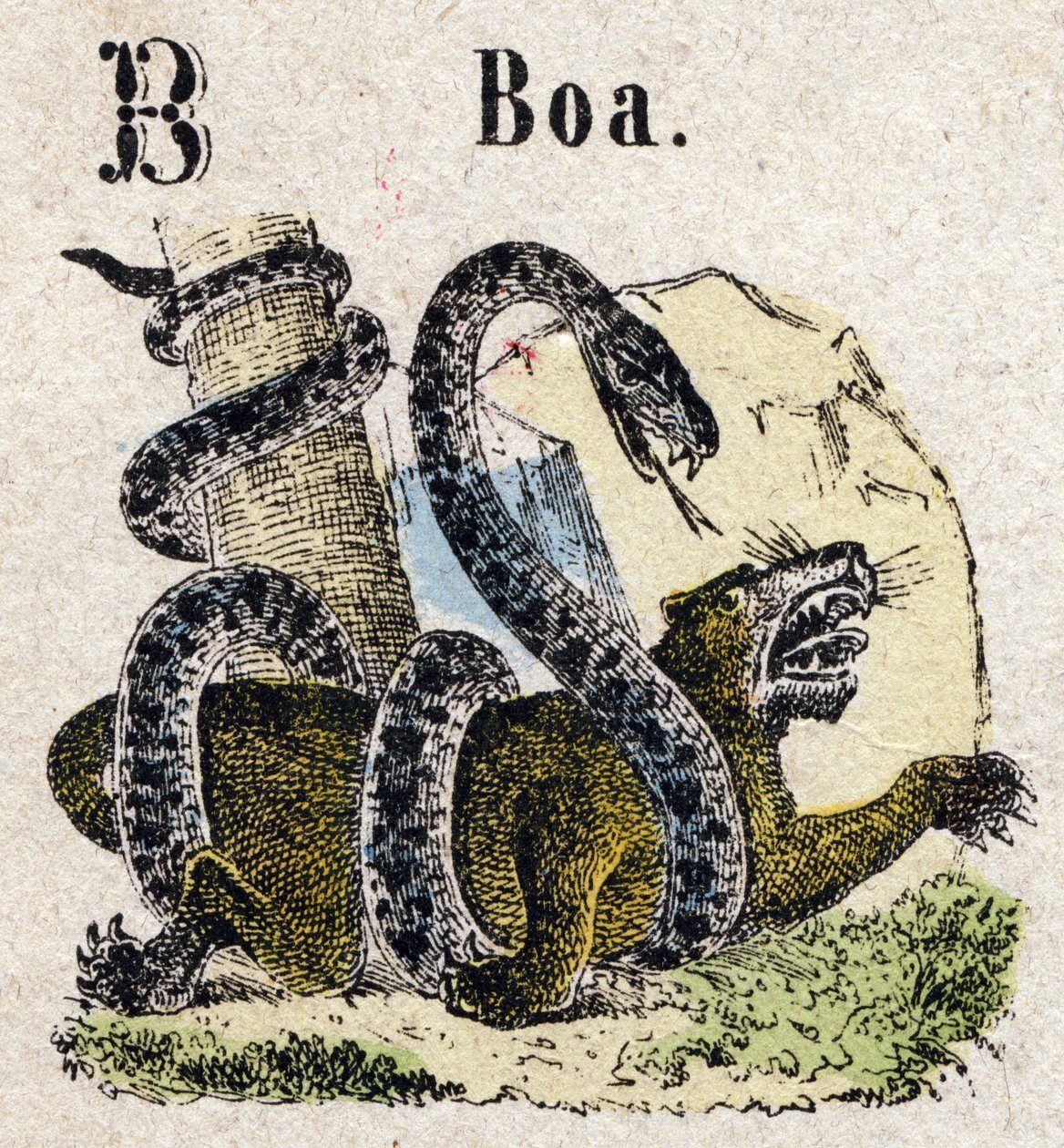 Abecedary. Bogstav B ligesom Boa. Lille encyklopædisk alfabet, populær serie. Epinal billeddannelse, slutningen af det 19. århundrede af French School