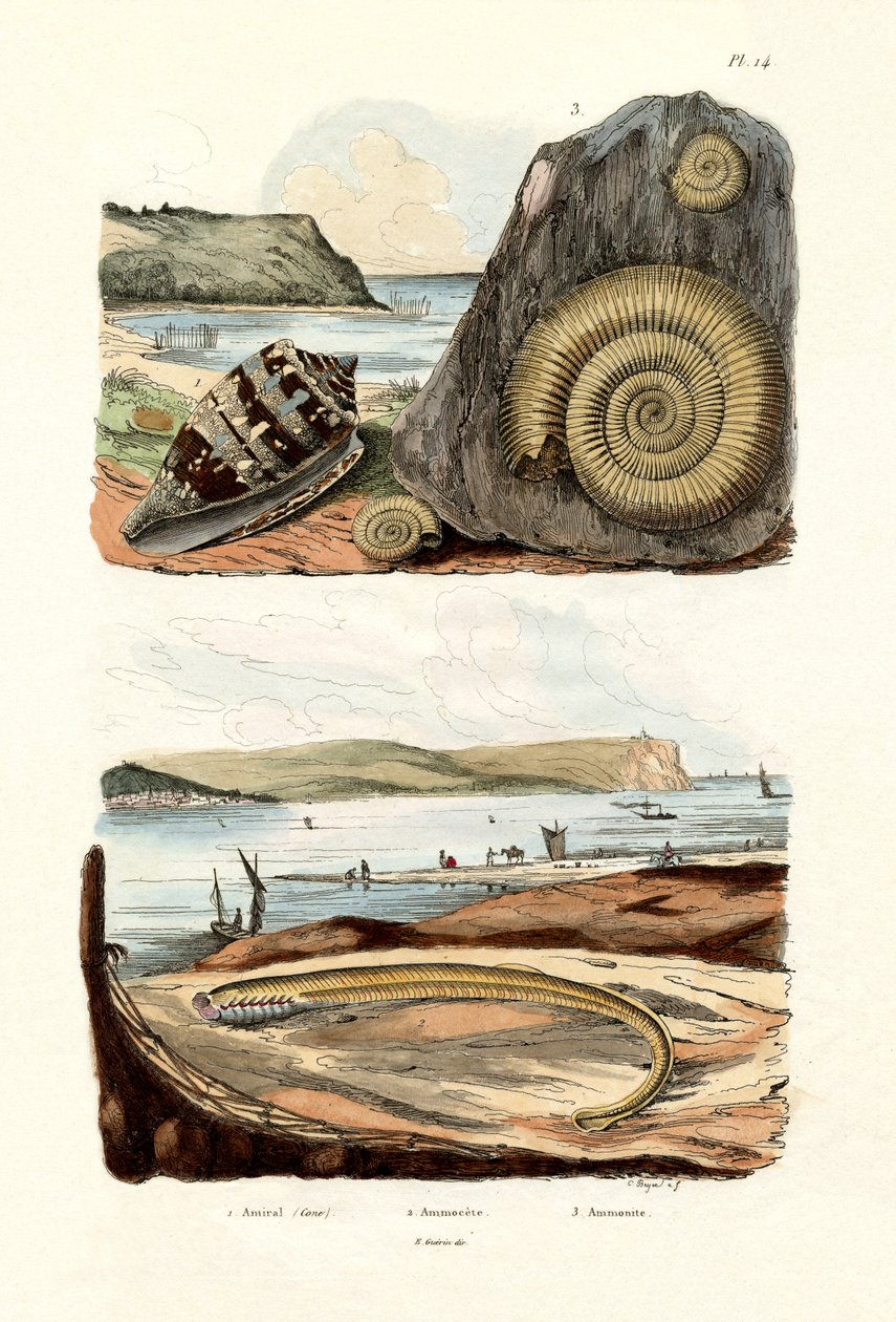 Admiral Cone, 1833-39 af French School
