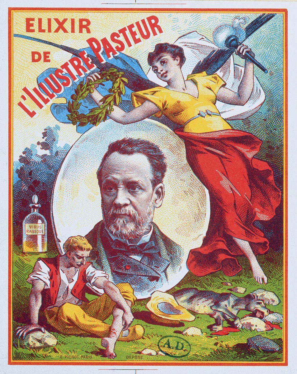 Annonce for Elixir of the Illustrious Pastor, 1900 af French School