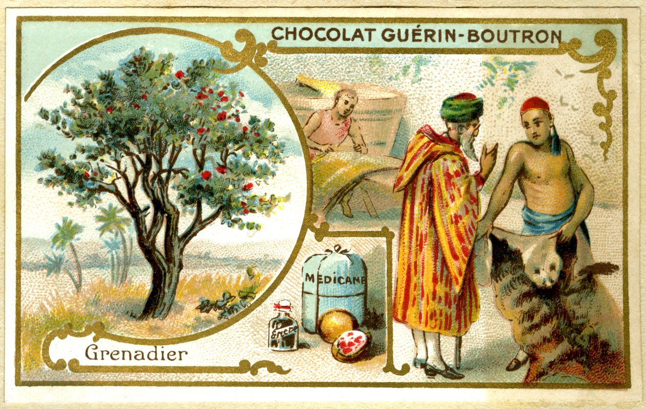 Reklamekromolitografi af Guérin Boutron-chokolader (kromolitografi) af French School