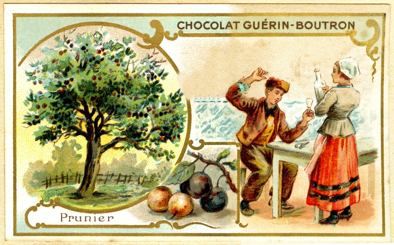 Reklamekromolitografi af Guérin Boutron-chokolader (kromolitografi) af French School
