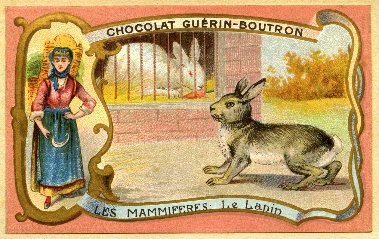 Advertising chromolithography of chocolates Guerin Boutron, Mammals, The rabbit cage and wild, warrendani af French School