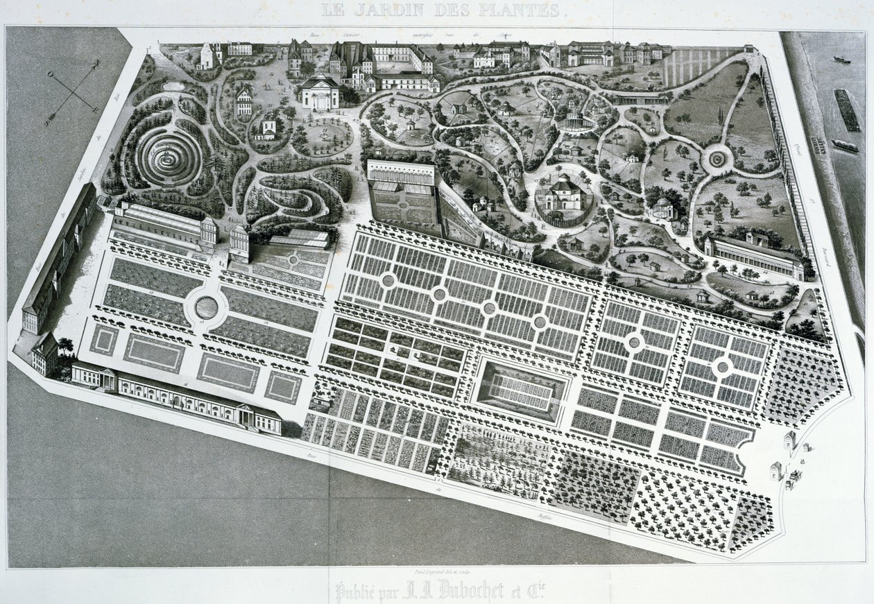 Luftfoto af planen for Jardin des Plantes i Paris, 1842 af French School
