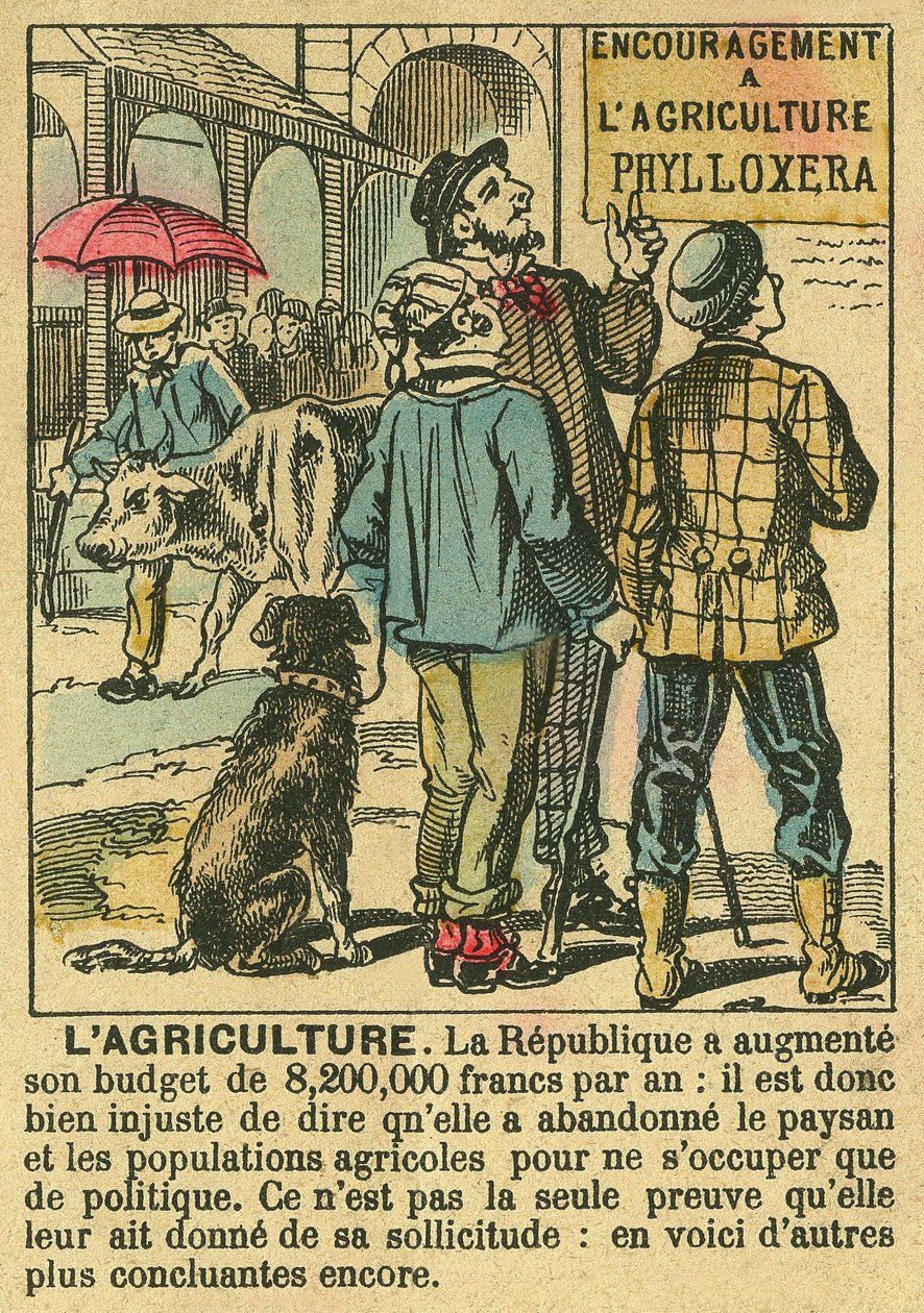 Landbrug illustrerer fordelene ved Den Tredje Republik på landbrugsinvesteringer og dens bekymring for bondebefolkningen. Gravering, i "" Le Figaro, supplement"", den 30/03/1889, Paris. Saml. Selva. af French School