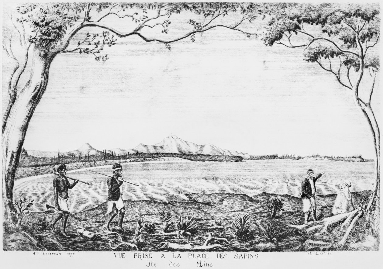 Album af Isle of Pines, udsigt taget fra Pines-stranden, 1877 af French School