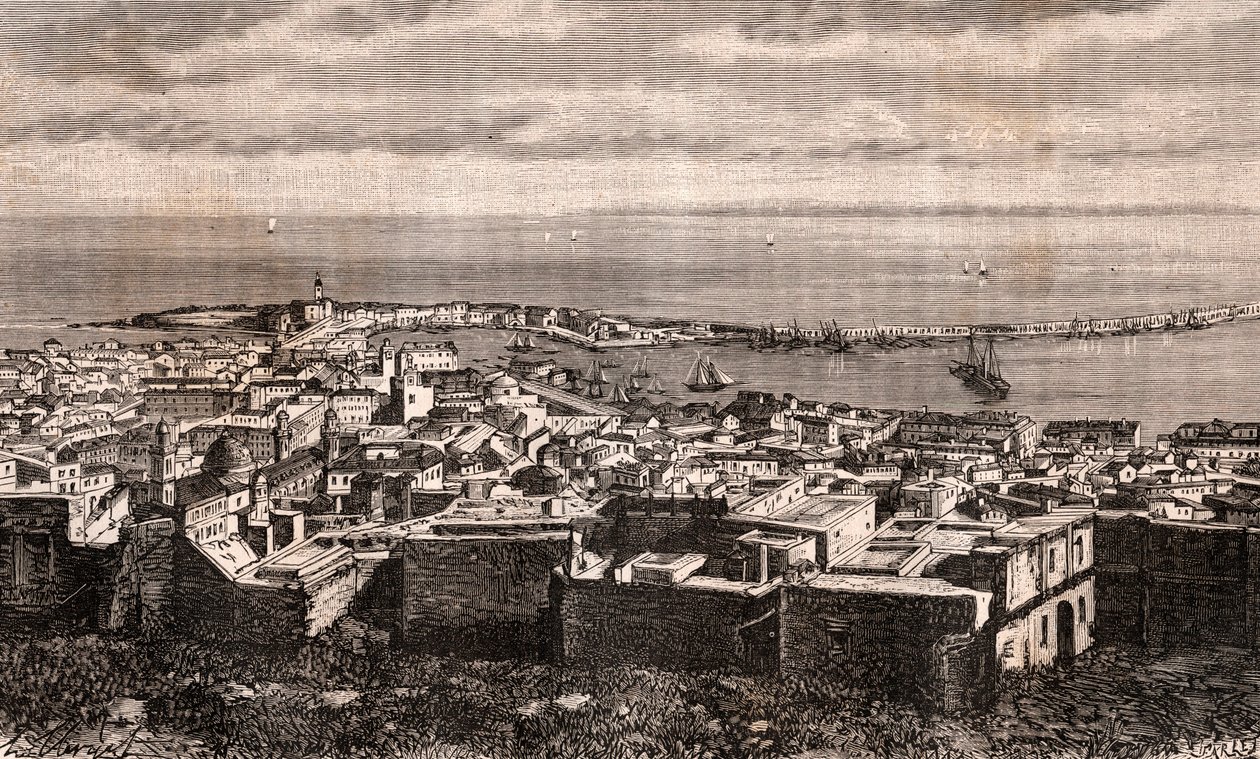 Algier - Algier - Algeriet - indgravering i "La France illustree: geography, history, administration statistique" af V.A. Malt-brun. 1884 af French School