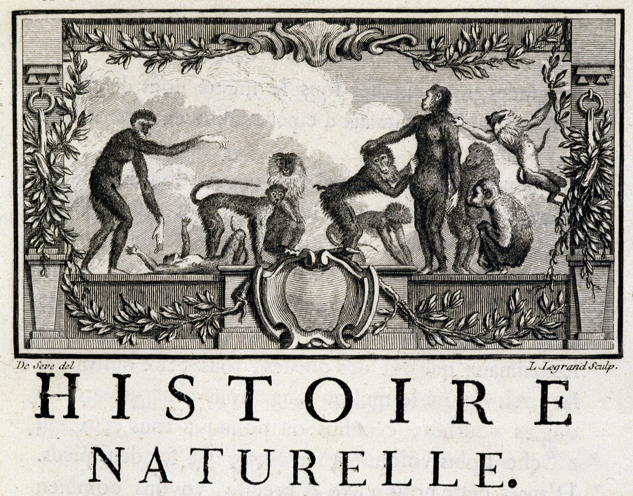 Allegori om naturhistorie på aberne - i "" Natural, generel og særlig historie"" af Buffon af French School