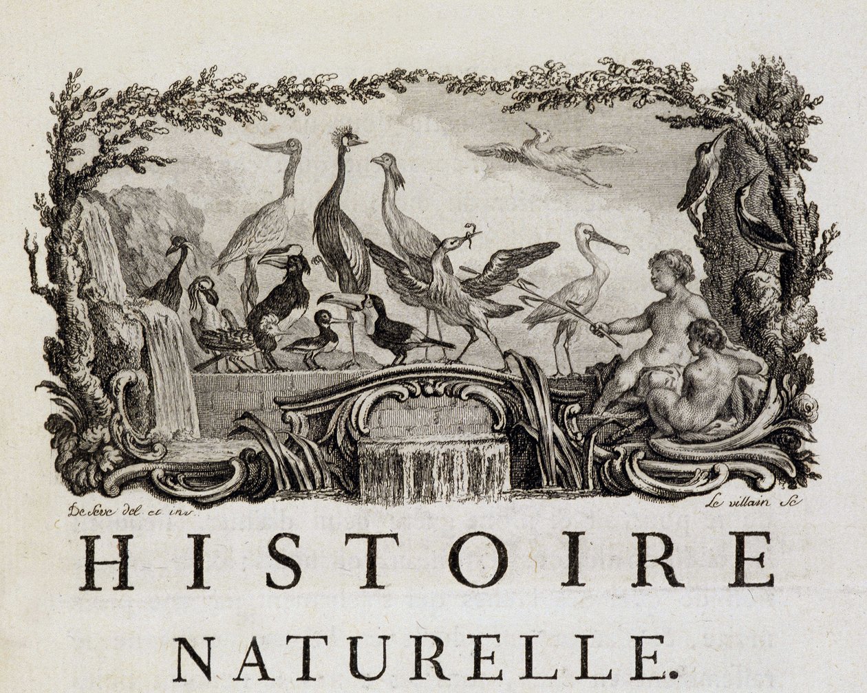 Allegory of Natural History on Birds - in "" Natural, General and Particular History"" af Buffon af French School