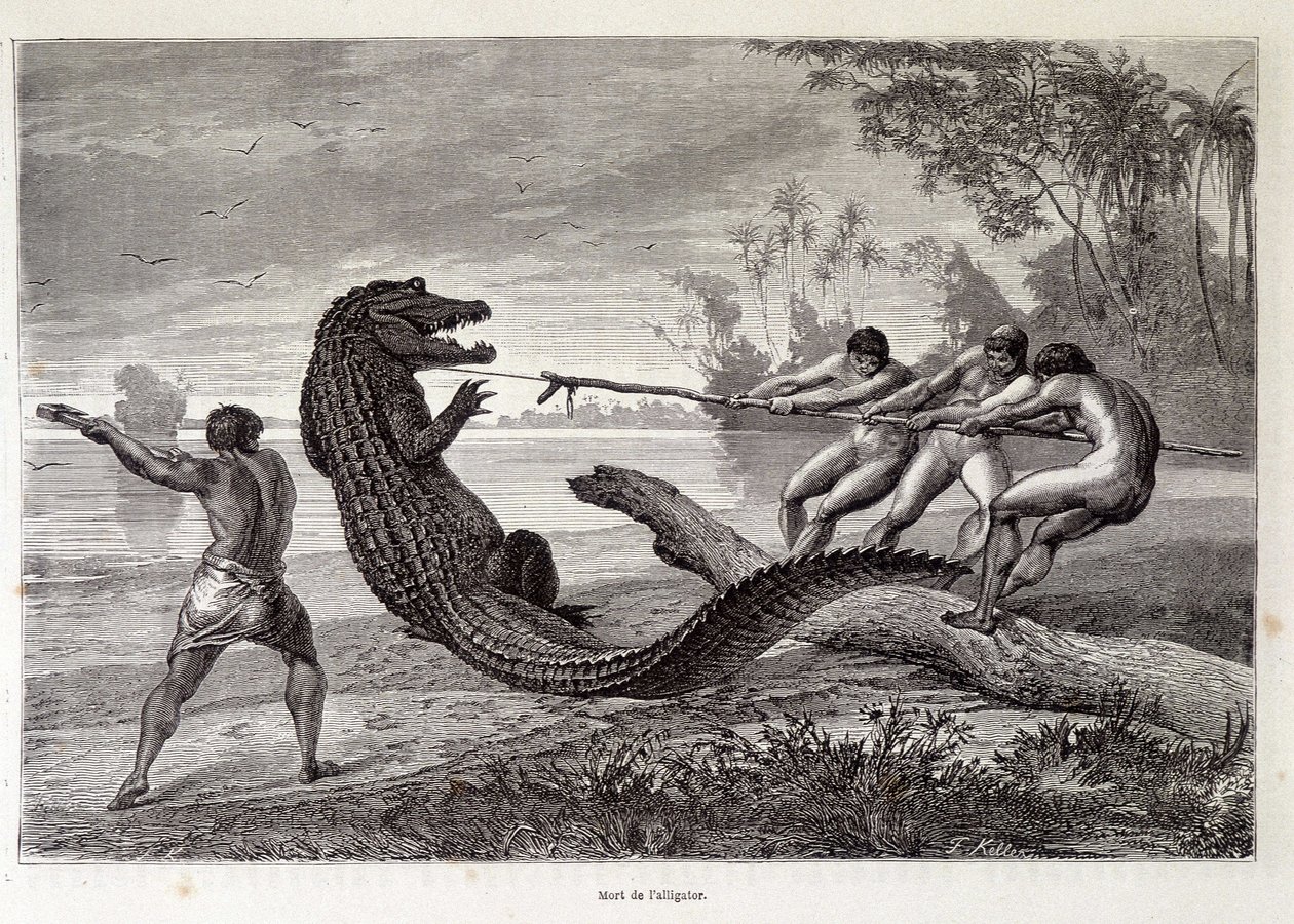 Alligator Hunt, Brasilien, "" Jorden rundt"" 2. uge 1874. af French School