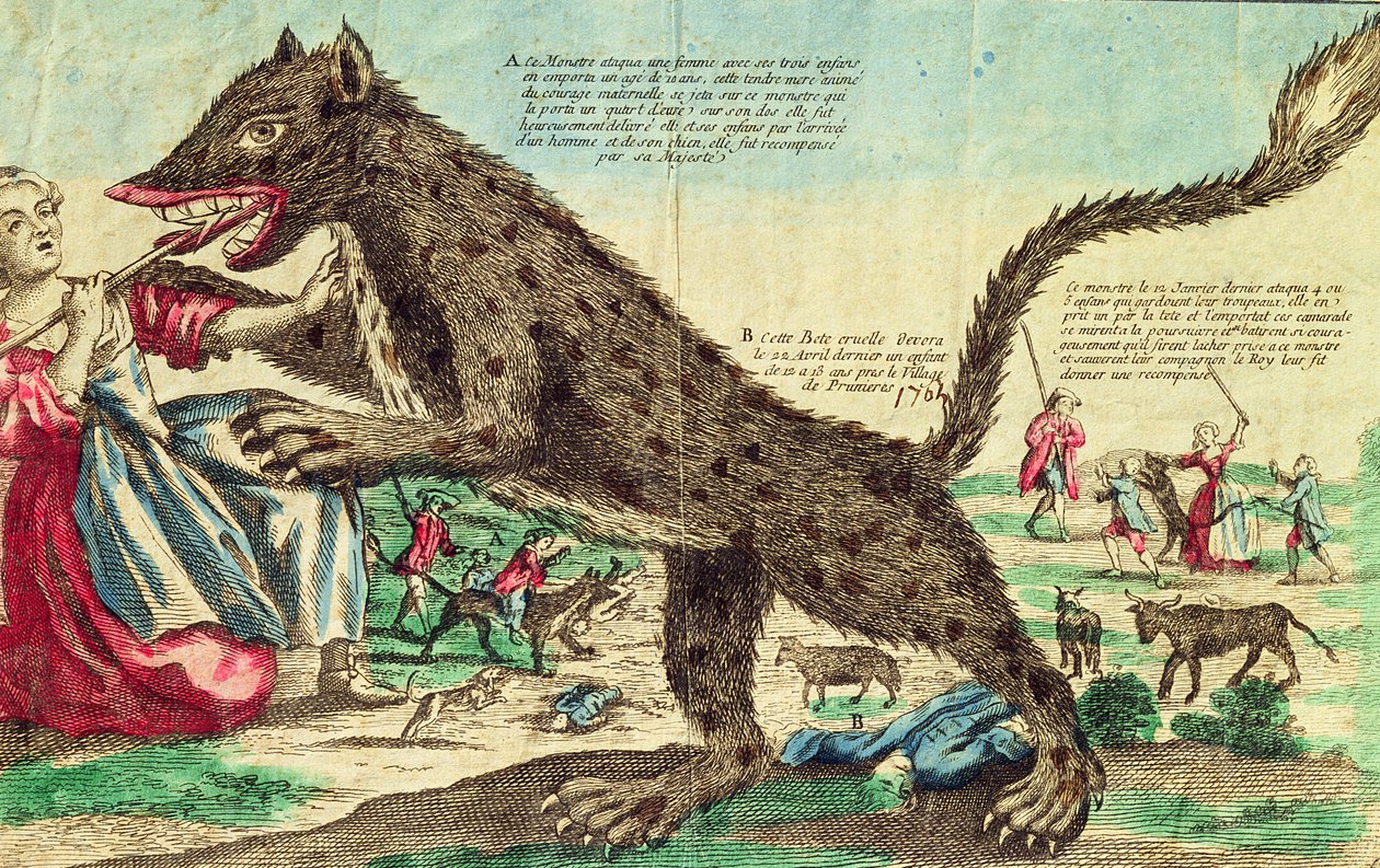 Angreb fra udyret fra Gevaudan i 1764 (farvegravering) af French School