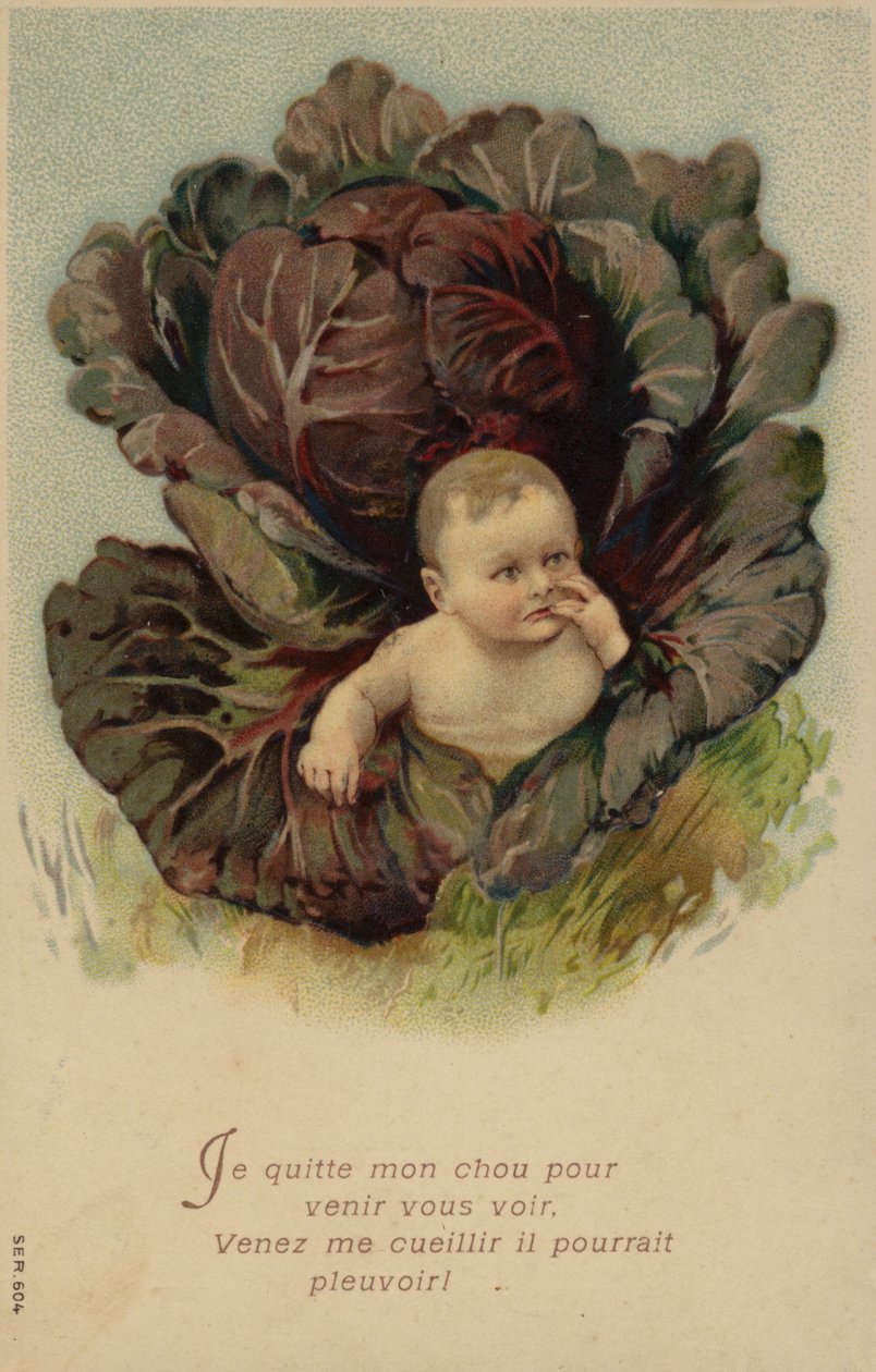 Baby på vej ud af et kålhoved (chromolitho) af French School
