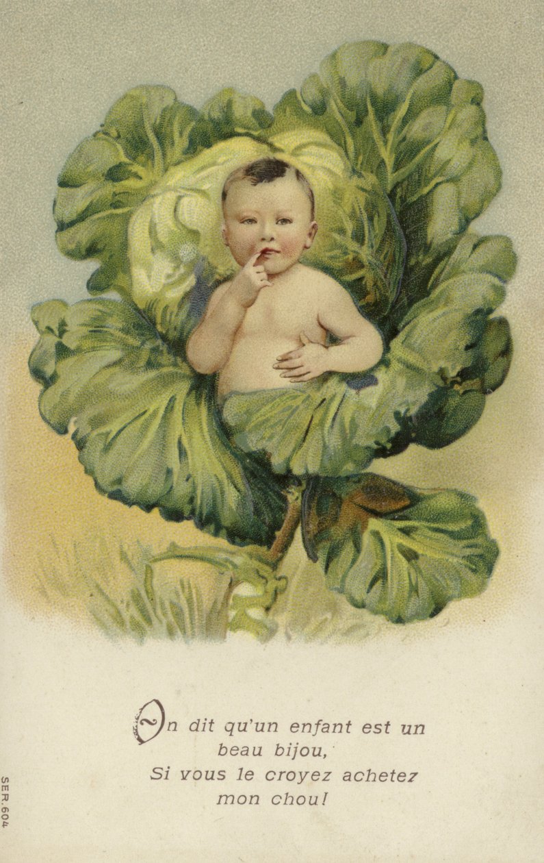 Baby i et kålhoved (chromolitho) af French School