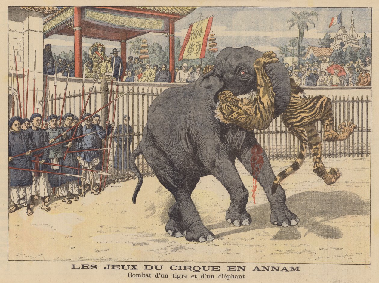 Kamp mellem en elefant og en tiger i et cirkus i Annam, Indokina (farvelitografi) af French School