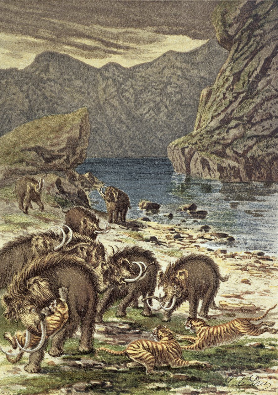 Kamp mellem mammutter og sabeltandede tigre fra Le Monde Avant la Creation dHomme af Camille Flammarion, 1886 af French School