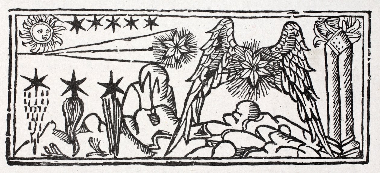 Skæggede stjerner, et stjerneskud, en komethale, en langhåret stjerne, en fastklemt stjerne af French School