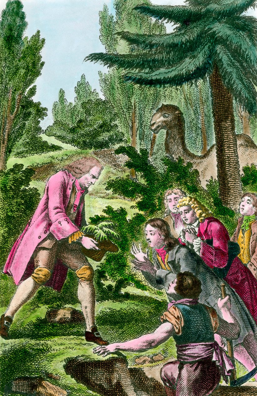 Bernard de Jussieu (1699-1777) planter cedertræ fra Libanon i planternes have i Paris i 1734. Gravering fra 1700-tallet. af French School