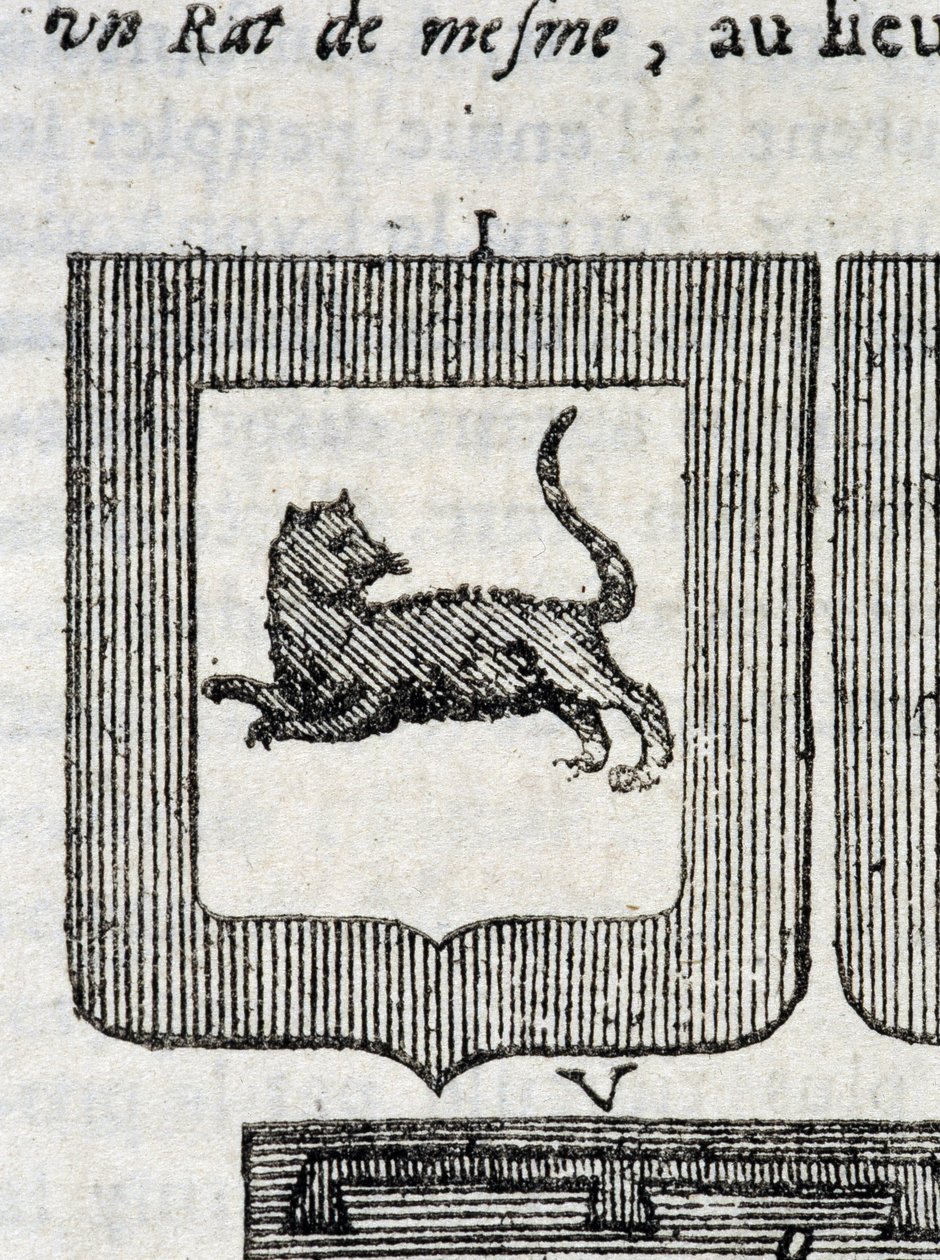 Blazon fra det italienske infanteriregiment i "" La Vraye and Perfect Science of Arms or the Armorial Index"" af Pierre Palliot af French School