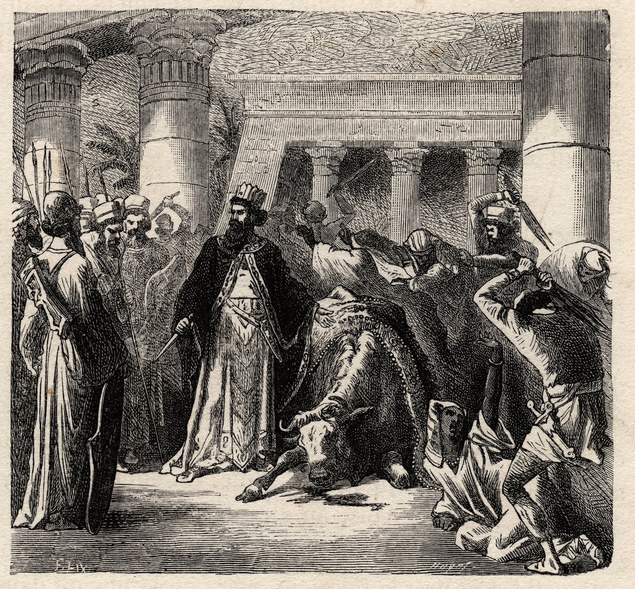 Cambyses II, hersker over Achaemenid Perserne dræber Apis, Egypternes Hellige Tyr - Cambyses eller Cambyse II (530-522 f.Kr.) gravering fra "" L