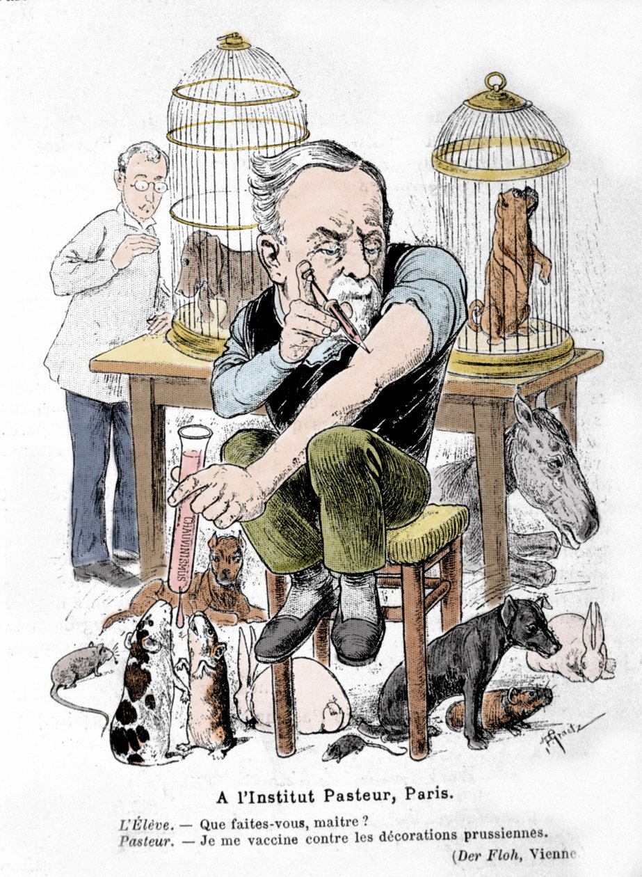 Tegneserierepræsentation af videnskabsmanden Louis Pasteur, opfinderen af vaccinen mod rabies, der vaccinerer sig mod preussiske dekorationer. Udgivet i "Der Floh"" af French School