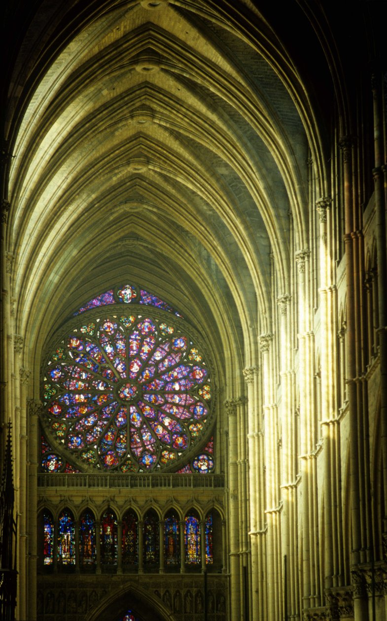 Katedralen i Reims af French School